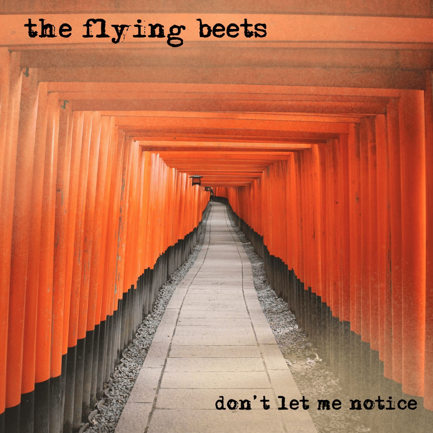 The Flying Beets