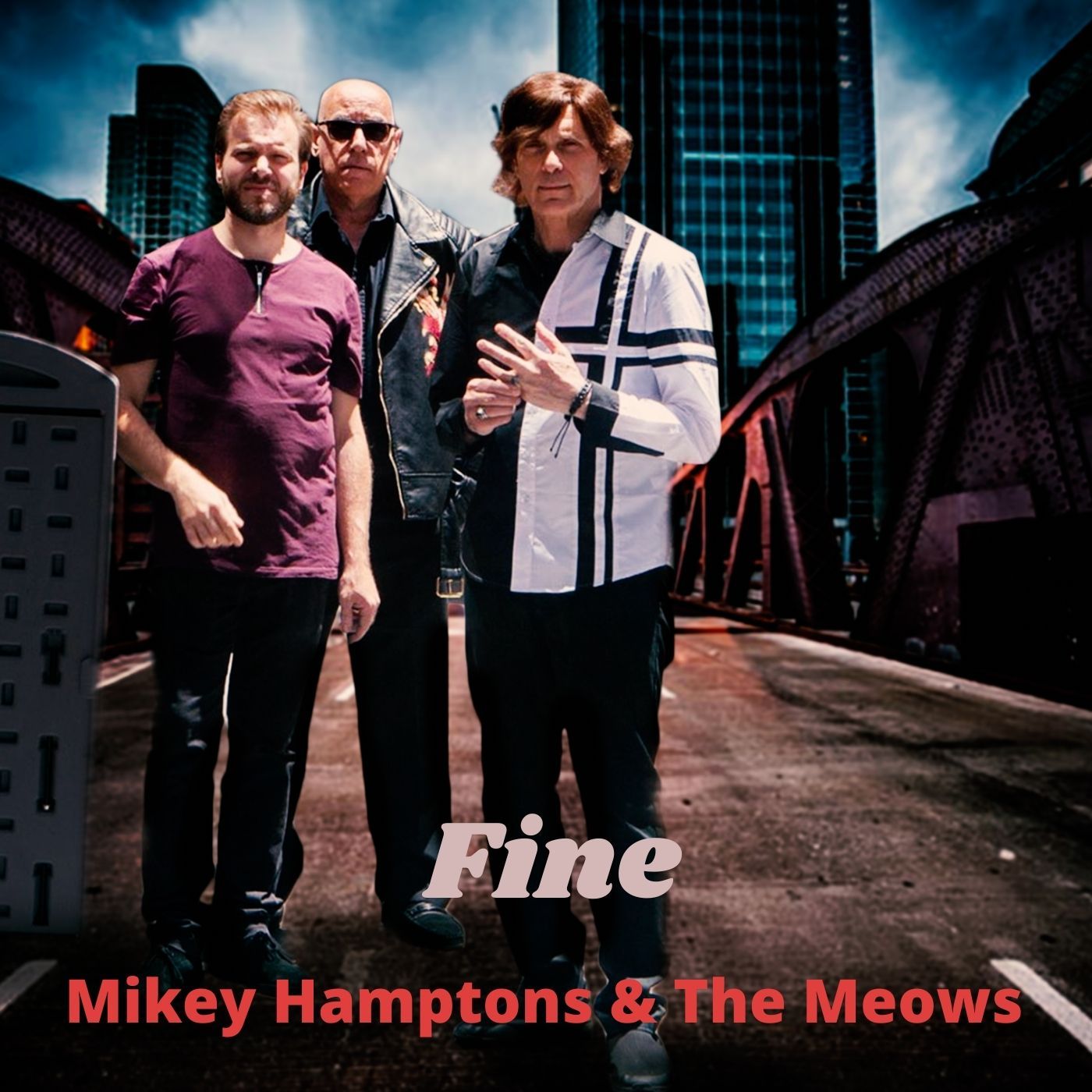 Mikey Hamptons & The Meows