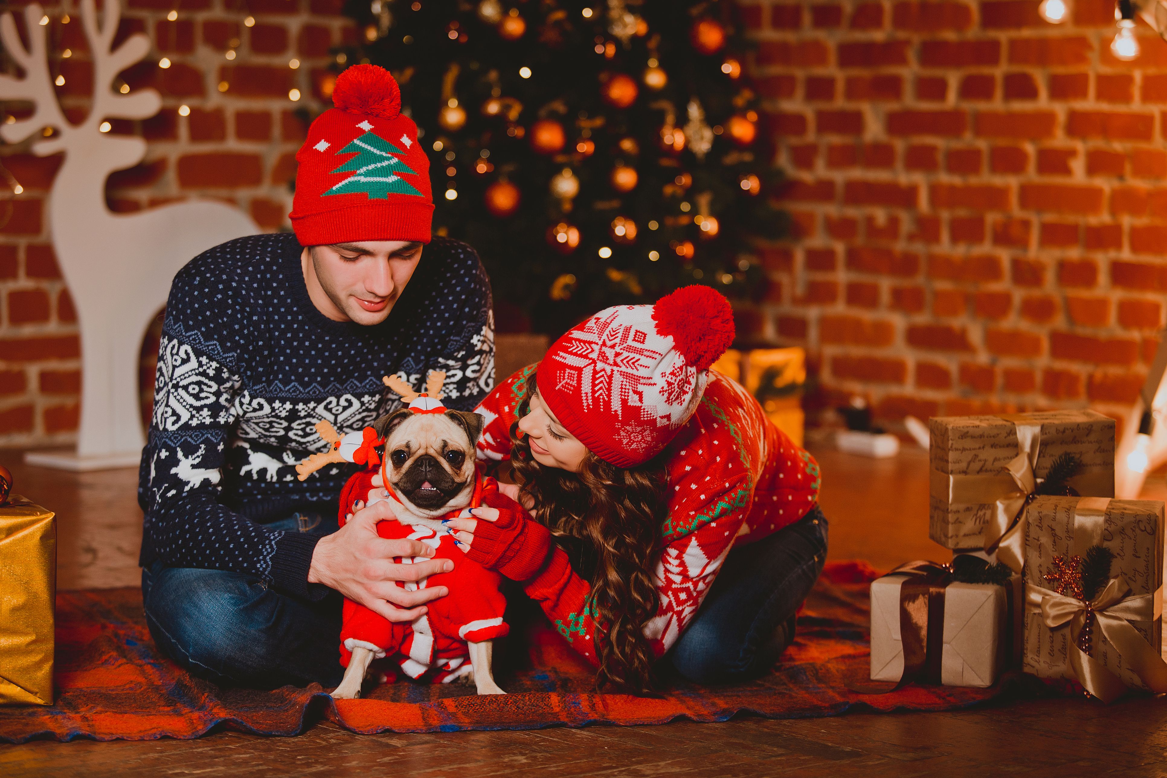 A male and female couple with their small dog wearing matching Christmas outfits.