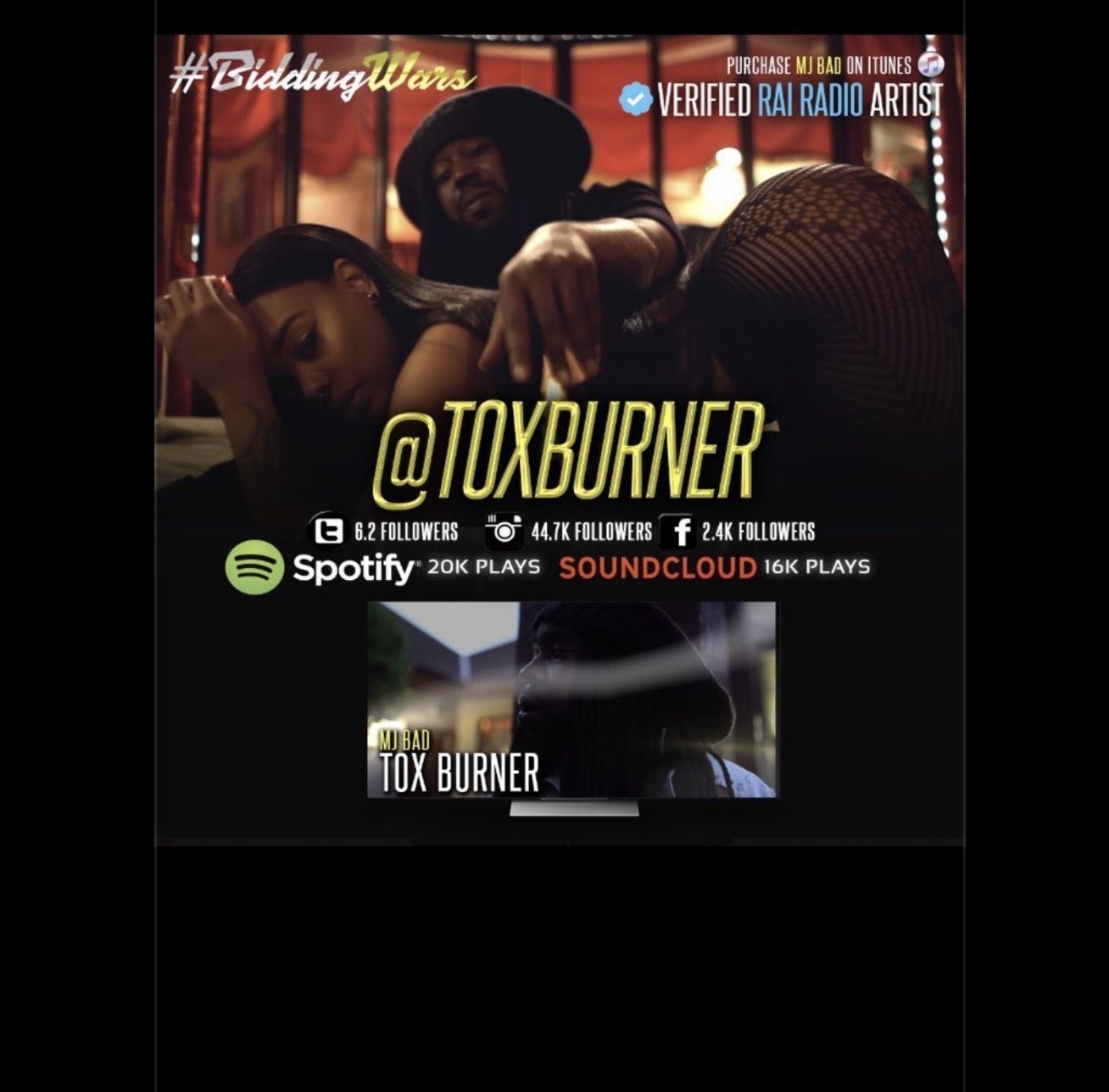 Tox Burner
