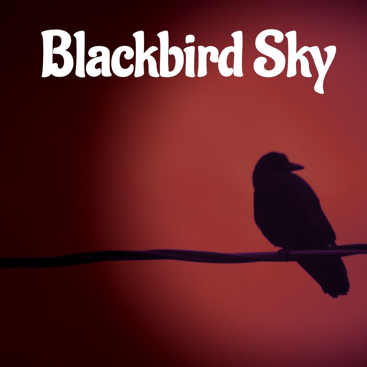 Blackbird Sky