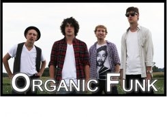organic funk