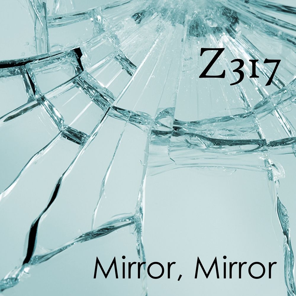 Z317