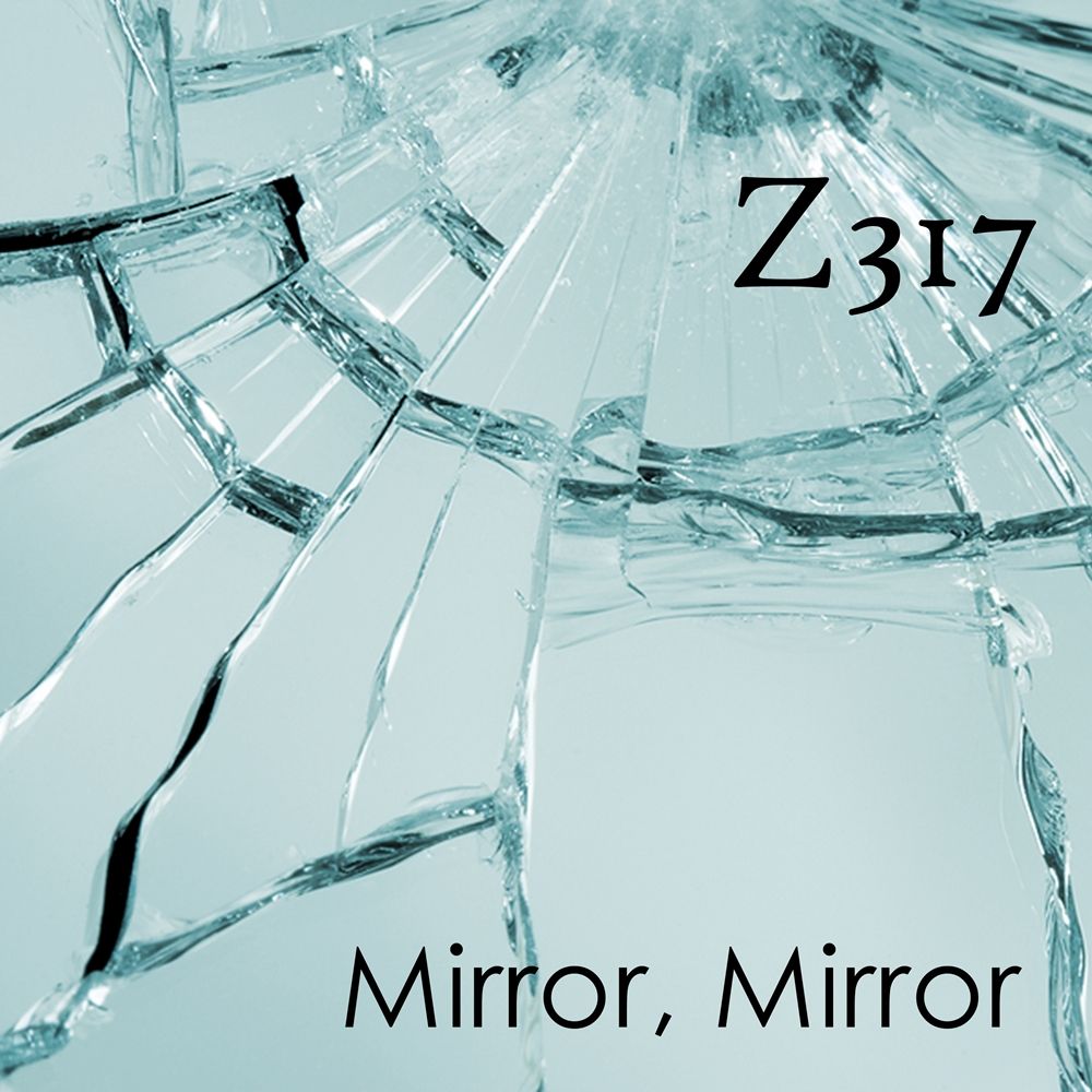 Z317