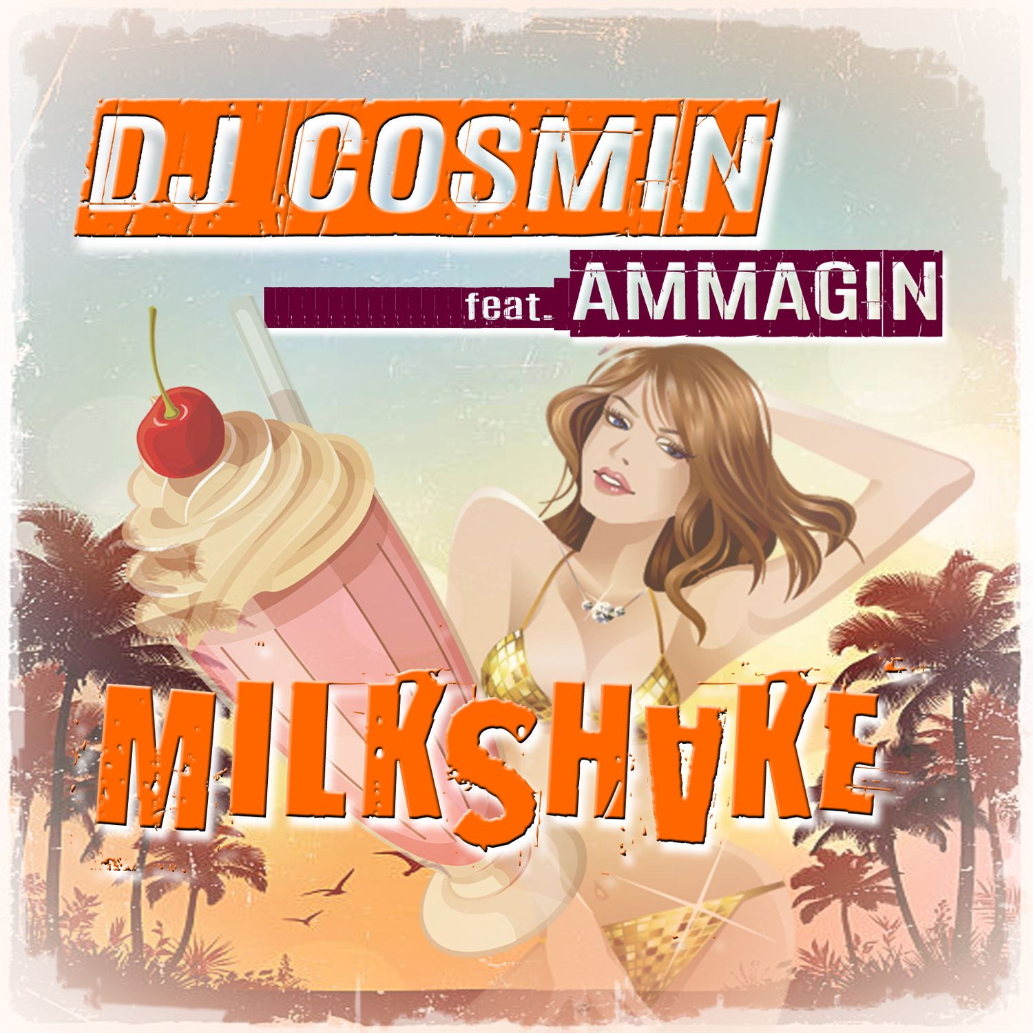 DJ Cosmin feat. Ammagin