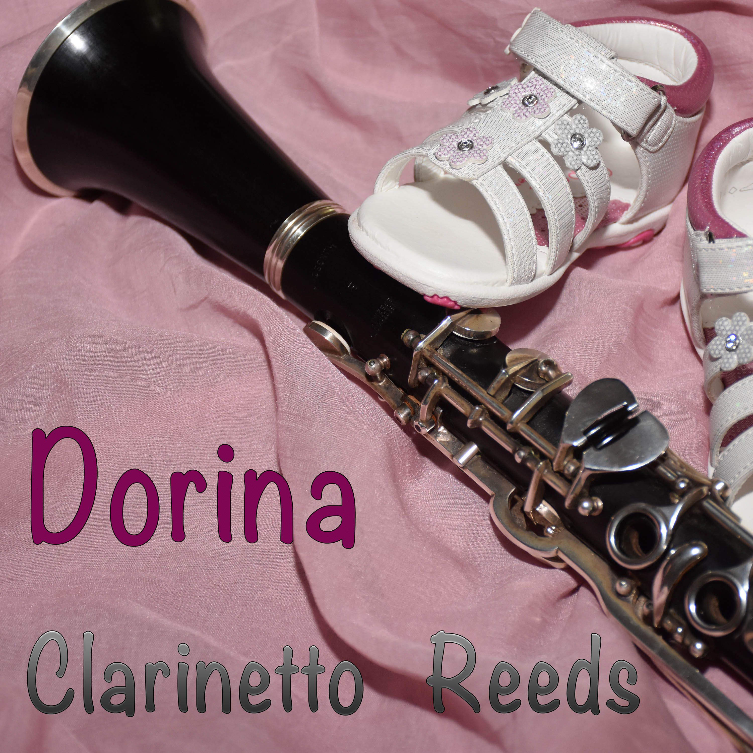 Clarinetto Reeds 