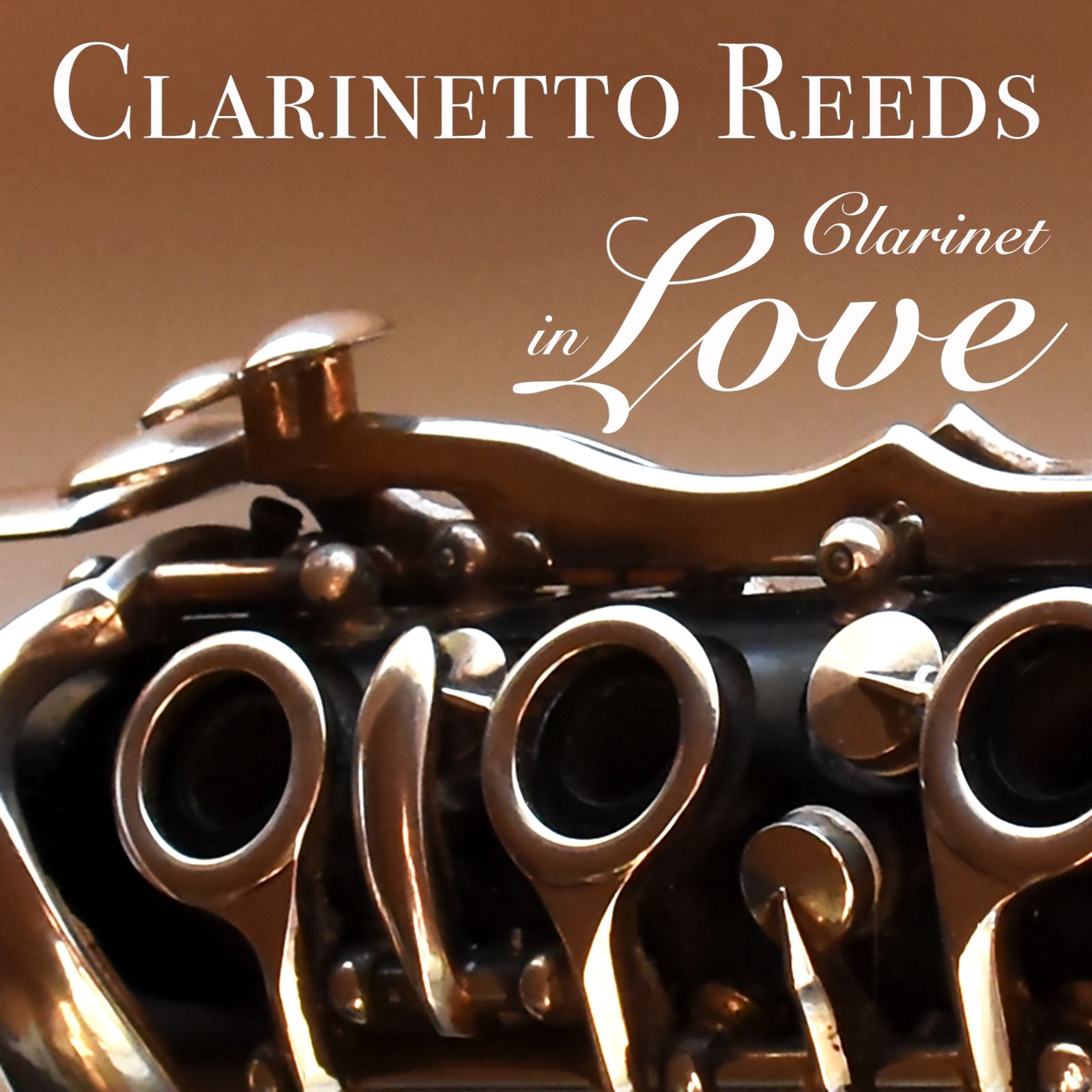 Clarinetto Reeds 