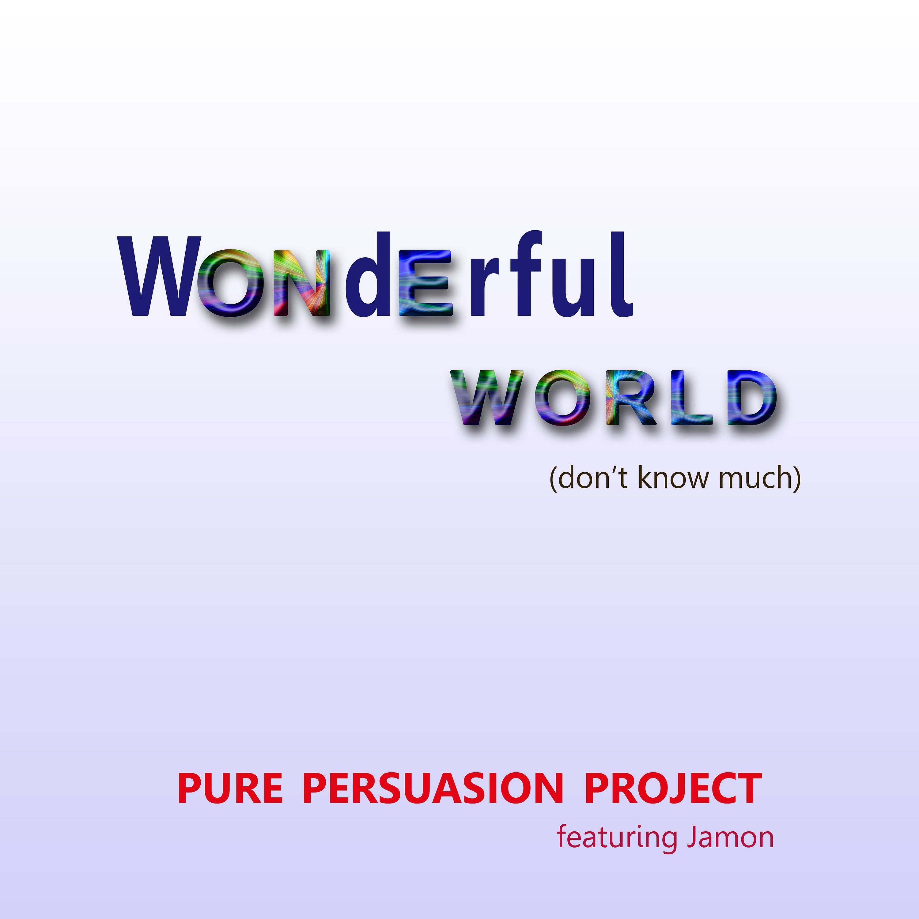 Pure Persuasion Project 
