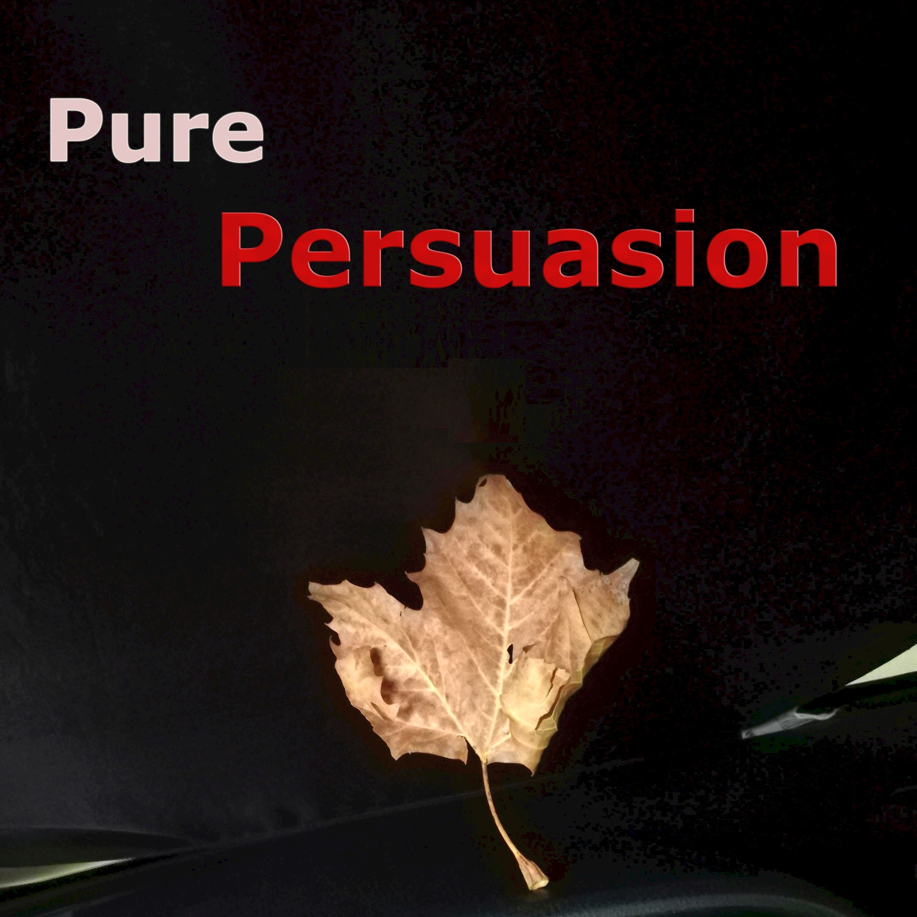 Pure Persuasion Project 
