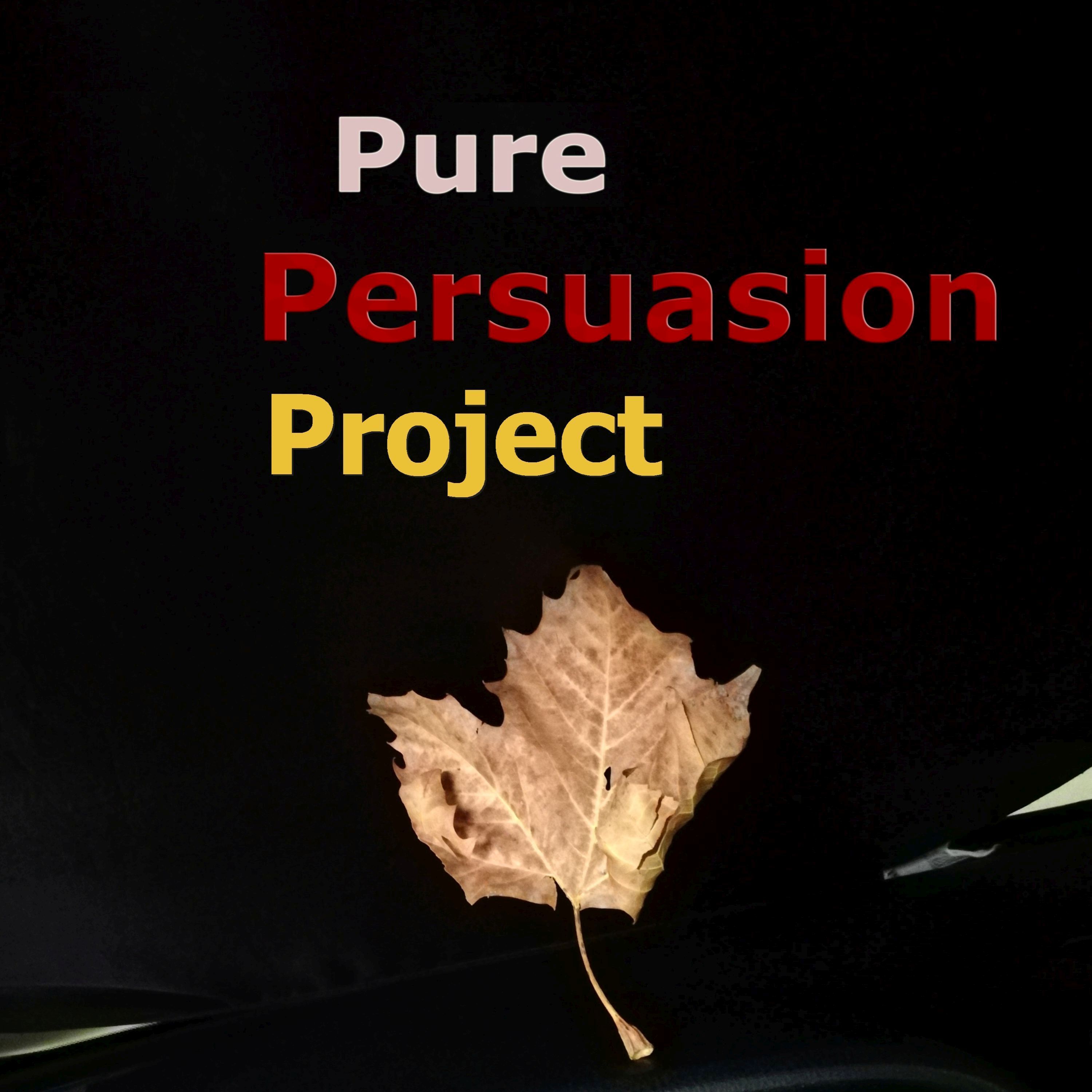 Pure Persuasion Project 