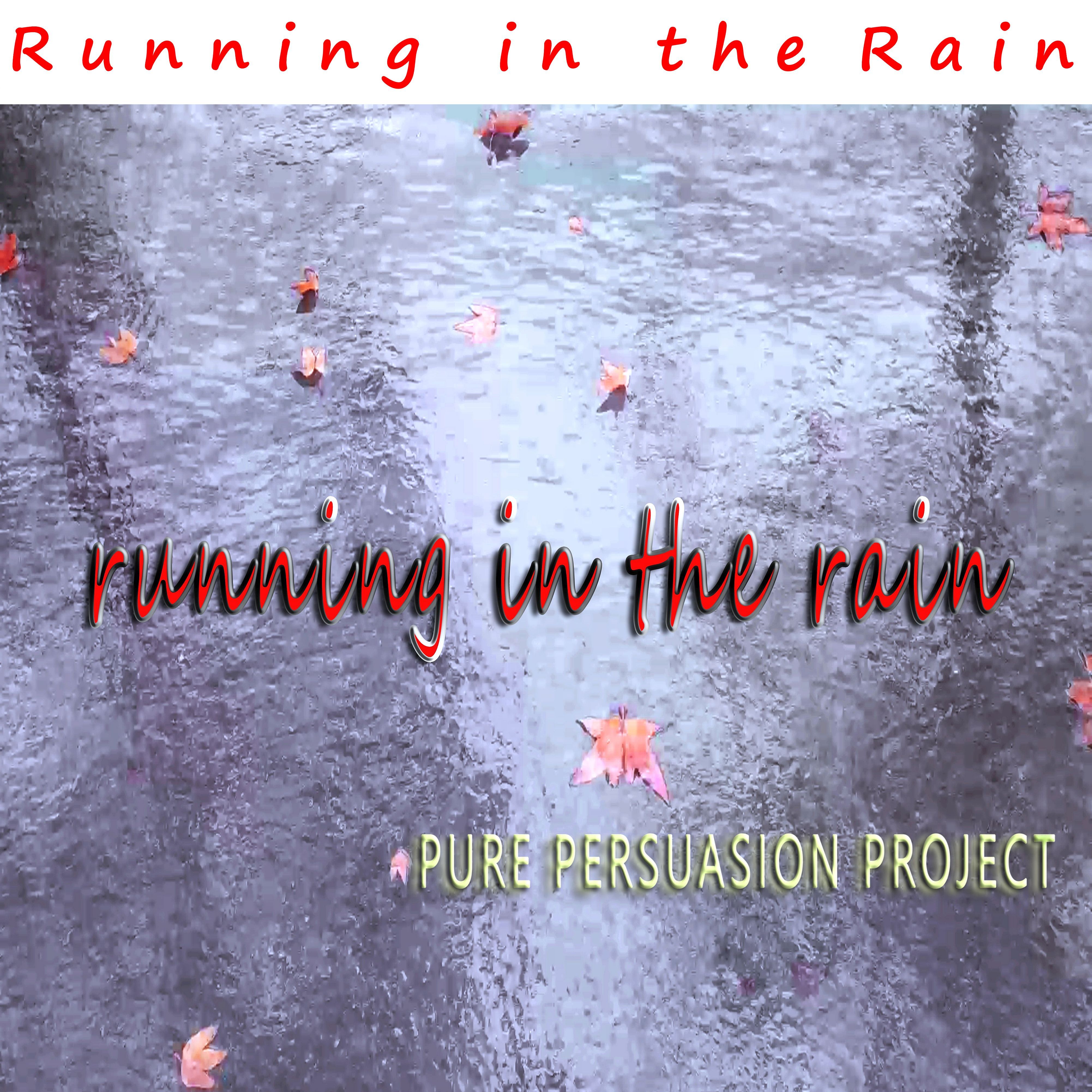Pure Persuasion Project 